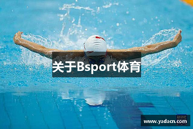 关于Bsport体育